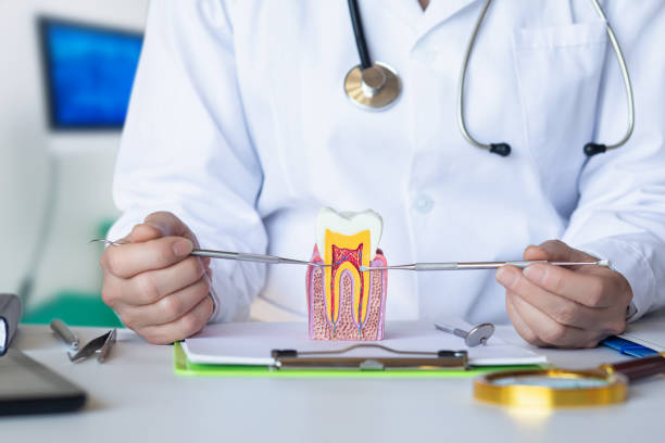 Best Emergency Root Canal Therapy in University Center, VA